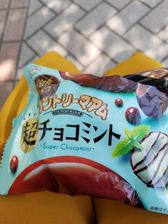 「不二家 Withチョコ カントリーマアム 超チョコミント 袋45g」のクチコミ画像 by レビュアーさん