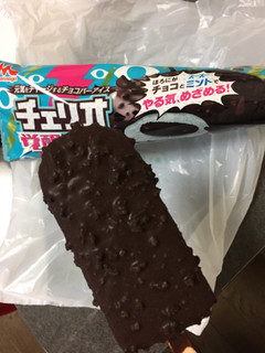 「森永 チェリオ 覚醒チョコミント 袋85ml」のクチコミ画像 by あいあんさん