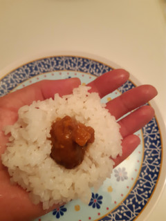 「井村屋 おにぎりの具 カレー味 袋75g」のクチコミ画像 by MAA しばらく不在さん