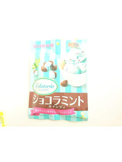 「UHA味覚糖 ジェラテリア ショコラミントキャンディ 袋80g」のクチコミ画像 by いちごみるうさん
