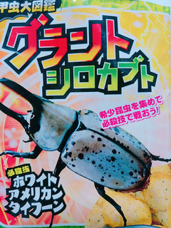 「松山製菓 甲虫大図鑑スナック 袋12g」のクチコミ画像 by nag～ただいま留守にしております～さん
