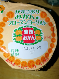 「中央製乳 がまごおりみかんのフローズンヨーグルト カップ95ml」のクチコミ画像 by 祥ちゃんさん