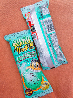 「赤城 ガリガリ君リッチ チョコミント 袋100ml」のクチコミ画像 by nag～ただいま留守にしております～さん