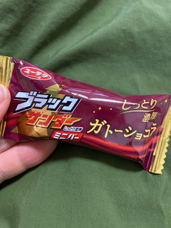 「有楽製菓 ブラックサンダー ミニバー ガトーショコラ 袋160g」のクチコミ画像 by よっぴーーーさん