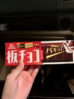 「森永製菓 板チョコアイス 箱70ml」のクチコミ画像 by サーモンちゃんさん