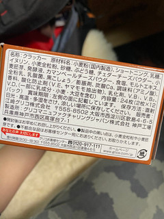 「江崎グリコ ビスコ 素材の恵み 全粒粉 チェダー＆カマンベール 箱2枚×12」のクチコミ画像 by gologoloさん