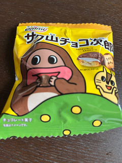 「正栄デリシィ サク山チョコ次郎 ファミリーパック 袋17gx6」のクチコミ画像 by chan-manaさん