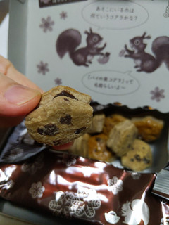 「ロッテ チョコを味わうパイの実 深みショコラ 箱69g」のクチコミ画像 by おうちーママさん
