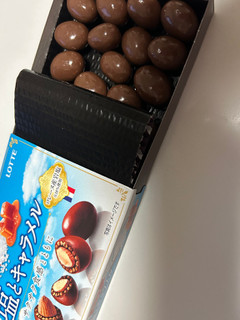 「ロッテ アーモンドチョコレート 塩とキャラメル 箱81g」のクチコミ画像 by ドライマンさん
