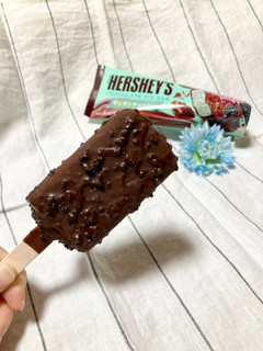 「HERSHEY’S チョコレートアイスバー ザクザクチョコミント 袋90ml」のクチコミ画像 by COTORI cafeさん