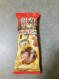 「赤城 ガリガリ君リッチ チョコチョコチョコチップ 袋100ml」のクチコミ画像 by ちゃーぼーさん