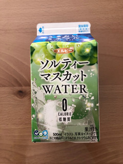 「エルビー ソルティーマスカットWATER 500ml」のクチコミ画像 by こつめかわうそさん