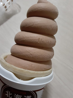 「ダイマル乳品 セコマ 北海道牛乳ソフト チョコ 200ml」のクチコミ画像 by もこもこもっちさん