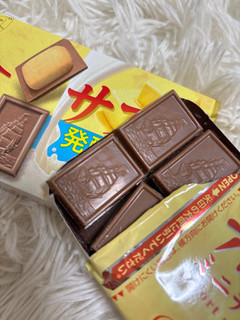 「ブルボン アルフォートミニチョコレートサブレ 箱12個」のクチコミ画像 by ぷらりねさん