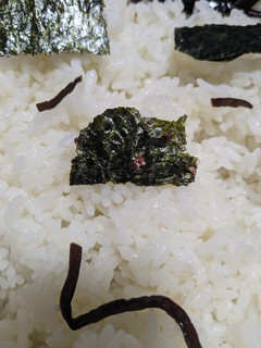 「カンロ かろやかし 山本海苔店 海苔のはさみ焼き 梅味 袋4.8g」のクチコミ画像 by ゅぃぽんさん