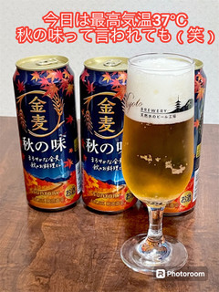 「サントリー 金麦 缶500ml」のクチコミ画像 by ビールが一番さん