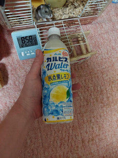 「アサヒ カルピスウォーター 氷点果レモン ペット600ml」のクチコミ画像 by ハムちゃんハムジさん