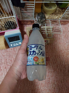 「サントリー 天然水 特製ヨーグルスカッシュ 500ml」のクチコミ画像 by ハムちゃんハムジさん