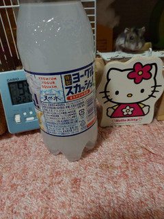 「サントリー 天然水 特製ヨーグルスカッシュ 500ml」のクチコミ画像 by ハムちゃんハムジさん