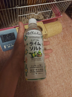 「KIRIN 世界のKitchenから ライムソルト ペット500ml」のクチコミ画像 by ハムちゃんハムジさん