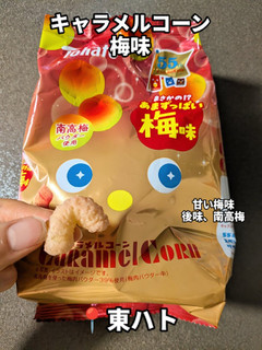 中評価】「お菓子レビュー(⁠*⁠˘⁠︶⁠˘⁠*⁠) - 東ハト キャラメル