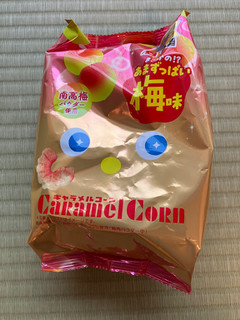 高評価】「キャラメルコーン 梅味 62g 340k - 東ハト キャラメル