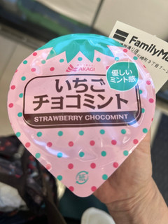高評価】「嵐のラストライブの日に買ったという思い出 - 赤城