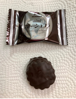 「森永製菓 ミニガトーショコラ 箱8個」のクチコミ画像 by SANAさん