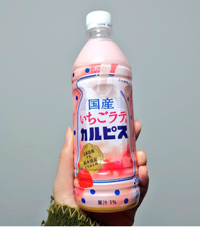 「アサヒ 国産いちごラテ＆カルピス ペット500ml」のクチコミ画像 by 果季口さん