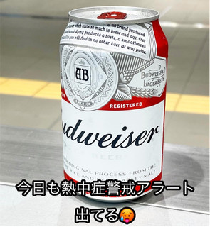 「ABInBev In バドワイザー 缶330ml」のクチコミ画像 by ビールが一番さん