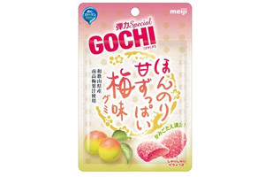 不二家 GOCHIグミ ほんのり甘ずっぱい梅味