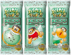 赤城乳業 ガリガリ君リッチ チョコミント