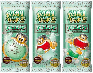 赤城乳業 ガリガリ君リッチチョコミント