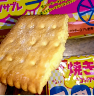 「日清シスコ ココナッツサブレ 焼き芋 袋5枚×4」のクチコミ画像 by もぐりーさん