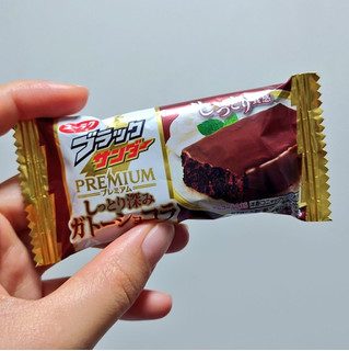 「有楽製菓 ブラックサンダー PREMIUM しっとり深みガトーショコラ 1個」のクチコミ画像 by 果季口さん