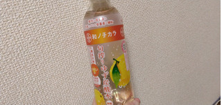 「DyDo 和ノチカラ 旬搾りゆず炭酸水 ペット500ml」のクチコミ画像 by やっぺさん