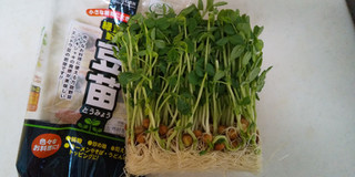 「三和農林 緑黄色野菜 豆苗」のクチコミ画像 by レビュアーさん