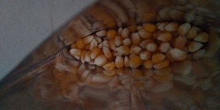 「フリトレー マイク・ポップコーン おウチでできたてポップコーンの豆 袋50g」のクチコミ画像 by レビュアーさん