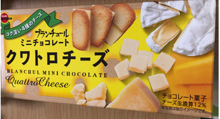 「ブルボン ブランチュールミニチョコレートクワトロチーズ 箱12個」のクチコミ画像 by やすあんさん