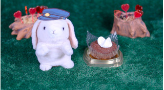 「ファミリーマート ショコラケーキ ルビーチョコソース」のクチコミ画像 by うさたん ちゃんねるさん