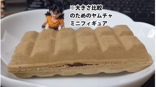 「シャトレーゼ 堅焼きクランチ入り 板チョコモナカ ショコラ 110ml」のクチコミ画像 by さばおじさんさん