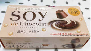 「カバヤ SOY de Chocolat 箱55g」のクチコミ画像 by ぺりちゃんさん