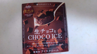 「オハヨー 生チョコとCHOCO ICE 106ml」のクチコミ画像 by レビュアーさん