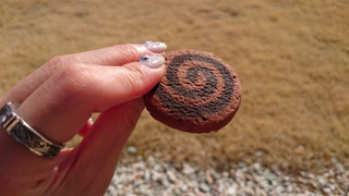 「ミスターイトウ ミスターイトウ くるくるクッキー チョコロールケーキ味 箱10枚」のクチコミ画像 by ゆっち0606さん