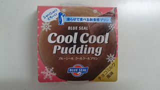 「沖縄物産企業連合 ブルーシール クールクールプリン チョコミルク風味 120g」のクチコミ画像 by ゆっち0606さん