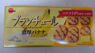 「ブルボン ブランチュールミニチョコレート 濃厚バナナ 袋12個」のクチコミ画像 by レビュアーさん