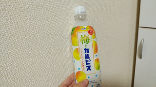 「アサヒ カルピス 梅とカルピス ペット500ml」のクチコミ画像 by やっぺさん