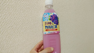 「アサヒ 巨峰＆カルピス ペット500ml」のクチコミ画像 by やっぺさん