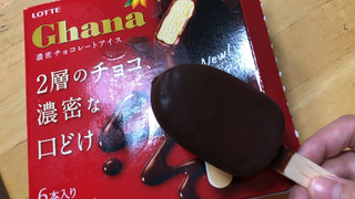 「ロッテ ガーナ 濃密チョコレートアイス 箱55ml×6」のクチコミ画像 by なでしこ5296さん