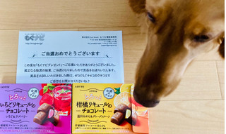 「ロッテ とろっと柑橘リキュールのチョコレート 箱10粒」のクチコミ画像 by ネネココさん